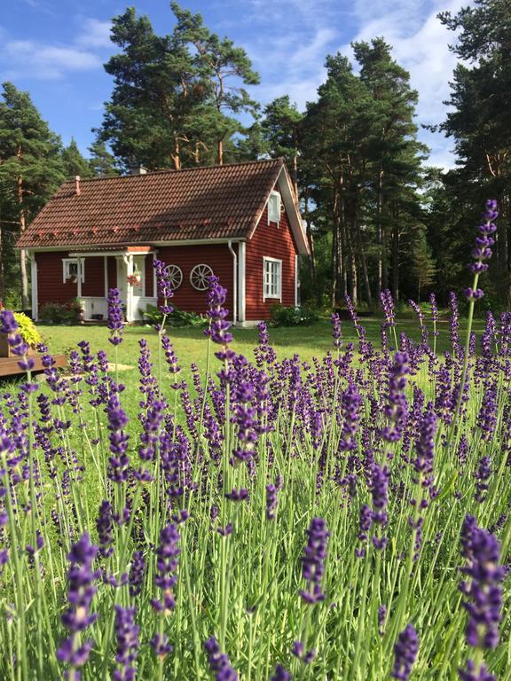 Villa Hanson Noarootsi Exteriér fotografie